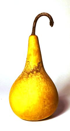 POIRE POINTUE