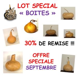 Lot Spécial Boîtes