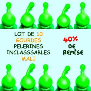 Lot de 10 Gourdes inclassables type PELERINE MALI