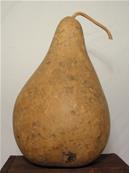 POIRE