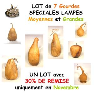 Lot de 7 Gourdes Spéciales Lampes Moyennes et Grandes