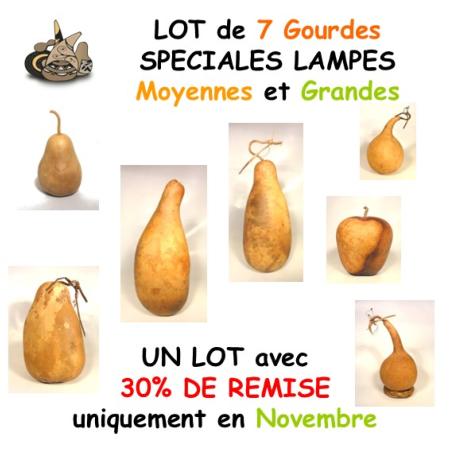 Lot de 7 Gourdes Spéciales Lampes Moyennes et Grandes