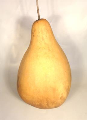 POIRE HAUTE