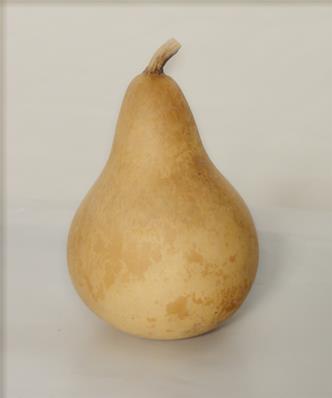 POIRE