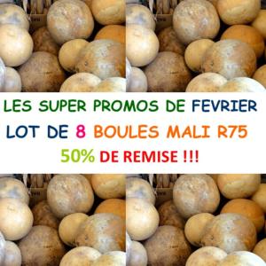 Lot de 8 Boules Mali R75